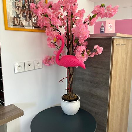 Maison Pink Flamingo Aeroport Tille 2 A 4 Personnes Exterior photo